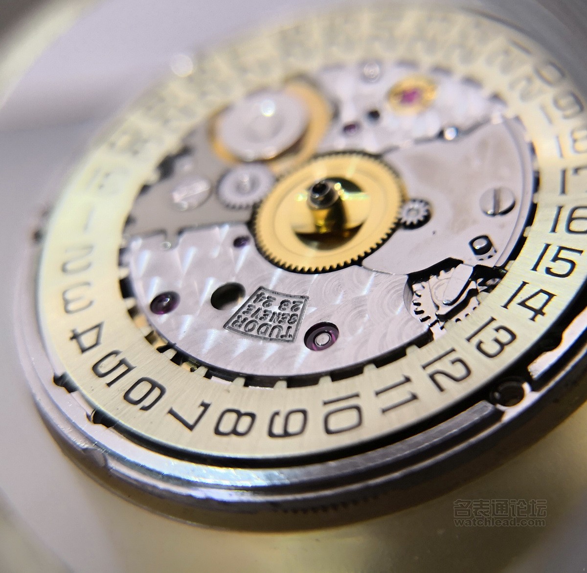 甯濊埖鐜嬪瓙绯诲垪鎷嗗嵏瑙嗛,甯濊埖鐜嬪瓙娓呮礂