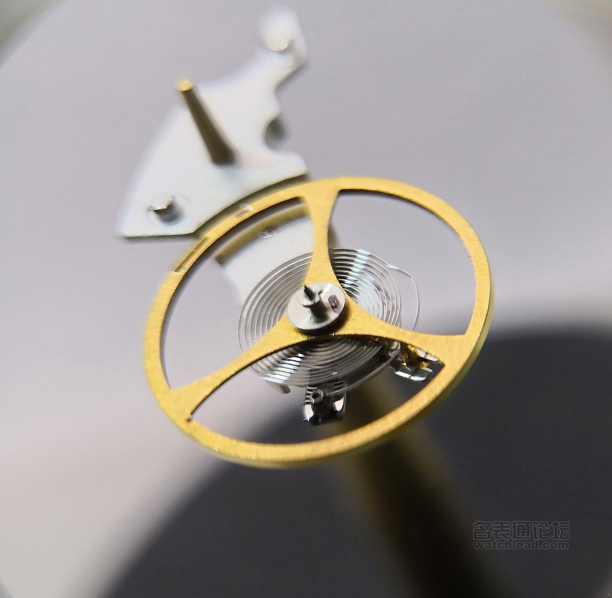 甯濊埖鐜嬪瓙绯诲垪鎷嗗嵏瑙嗛,甯濊埖鐜嬪瓙娓呮礂