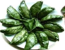 祛湿中药艾草,中医艾草治寒气