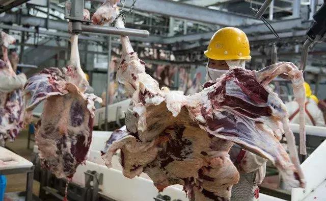 通辽肉牛产业博览园,通辽市打造肉牛全产业链