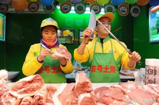 山东最新猪肉价行情今日猪价,猪肉价格山东今日猪价