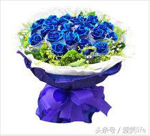 玫瑰花的花语大全精选206句,100种鲜花图片及花语