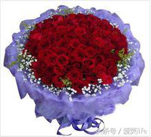 玫瑰花的花语大全精选206句,100种鲜花图片及花语