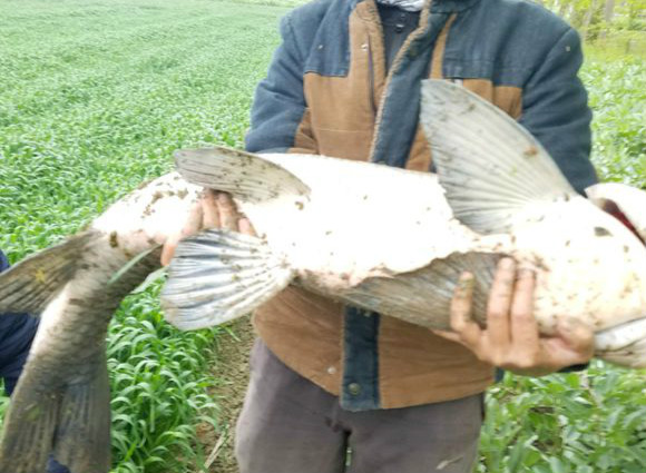 爆竿后的反应,爆竿了之后钓友什么反应