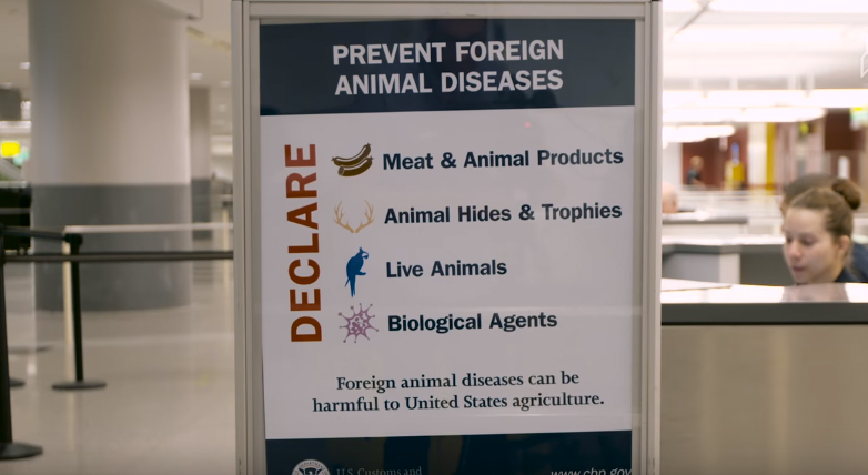 国外东西被海关扣了怎么办,国外进口零食被海关查获