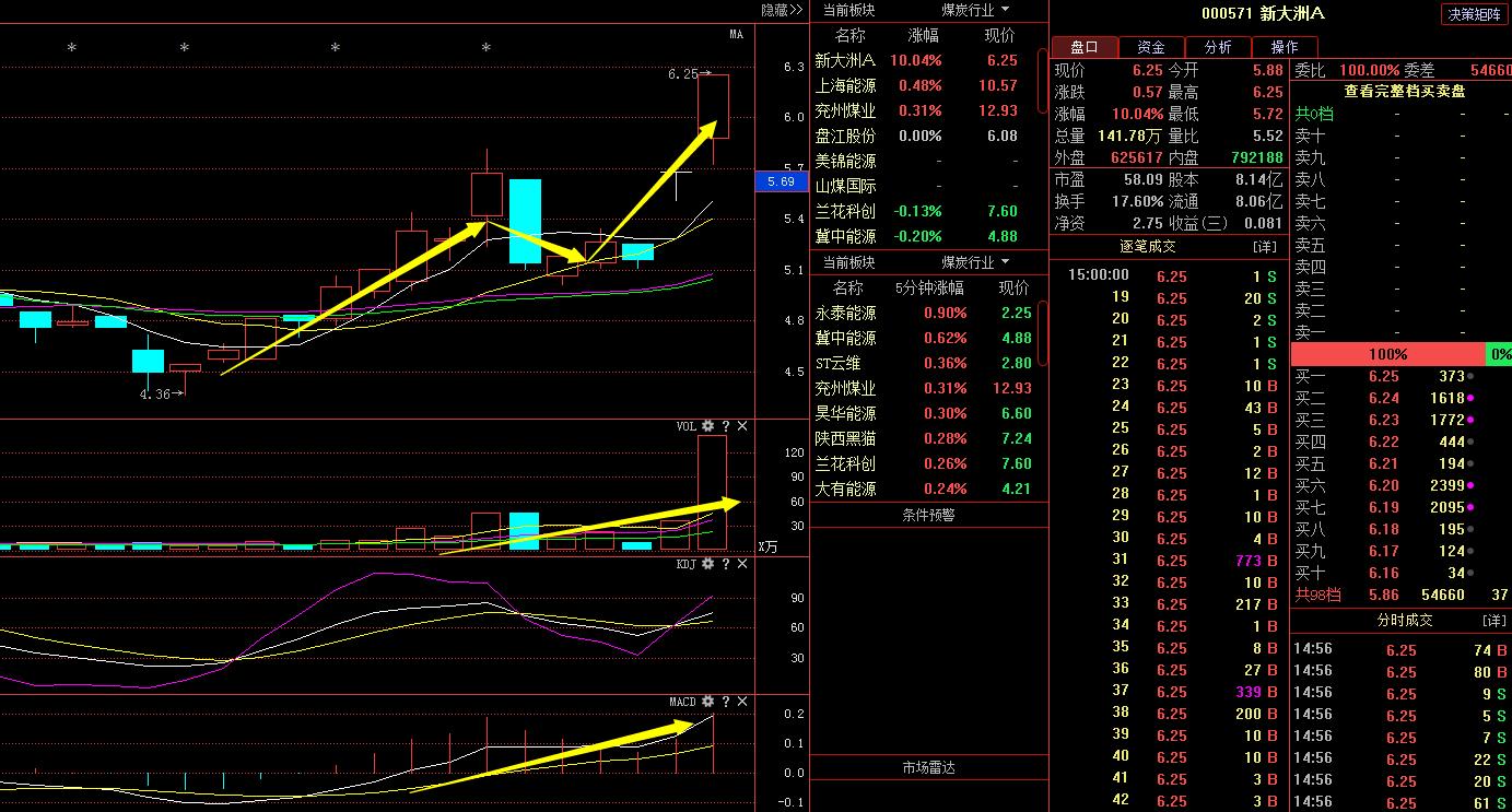 新大洲股票深度分析,新大洲a股票还会上涨么