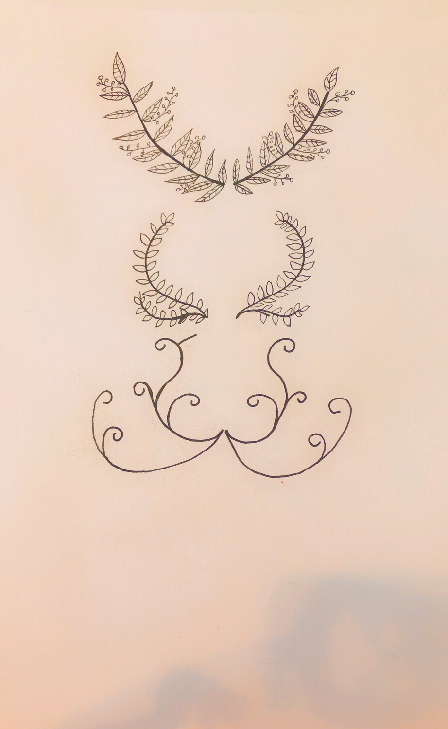 简约卡通叶子手绘边框,怎么画带有叶子的边框简笔画