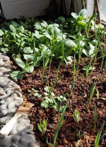 婆婆非要帮忙装修新房怎么办,农村婆婆故意找事