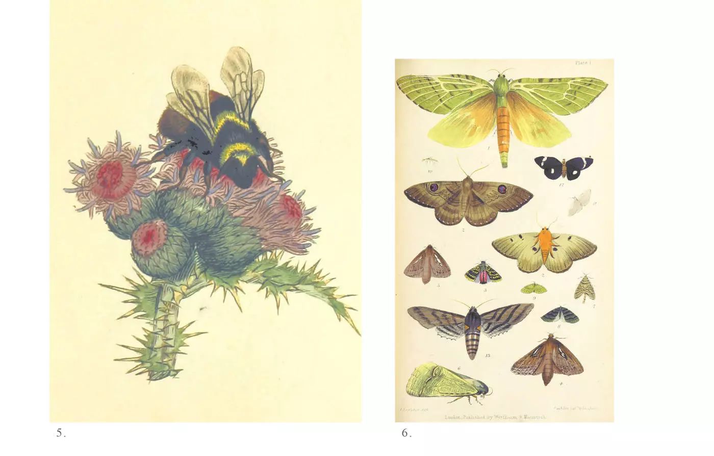 guccidionysus酒神白色包二手多少钱,gucci酒神系列dionysusmini蓝色