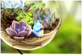 推荐一些农村小成本创业项目,冷门小成本创业项目