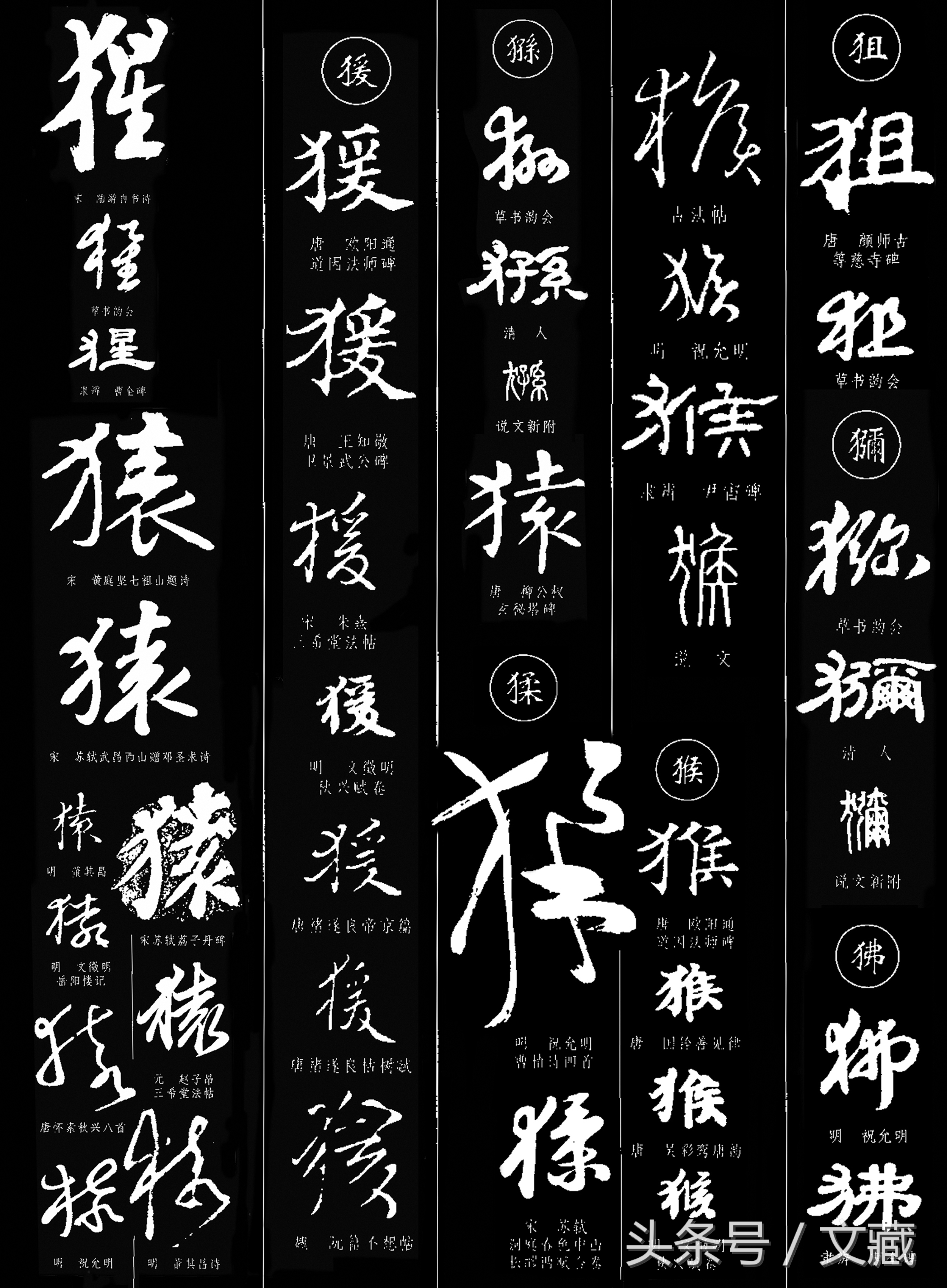 有用而鄙贱,无用而高贵——猴与猿的迥异待遇