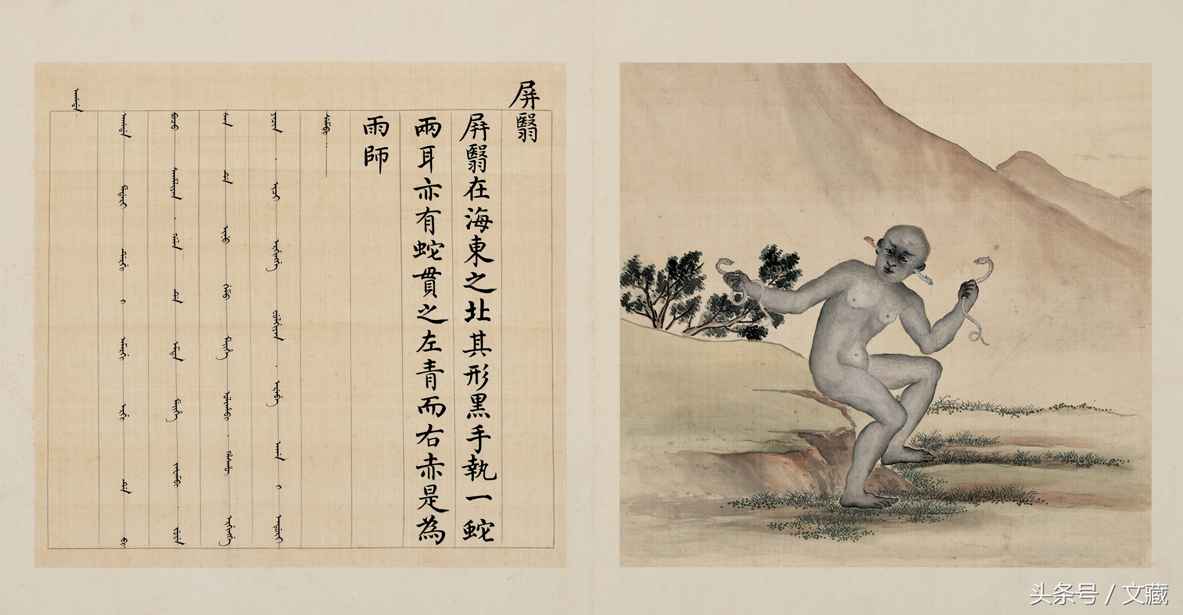 有用而鄙贱,无用而高贵——猴与猿的迥异待遇