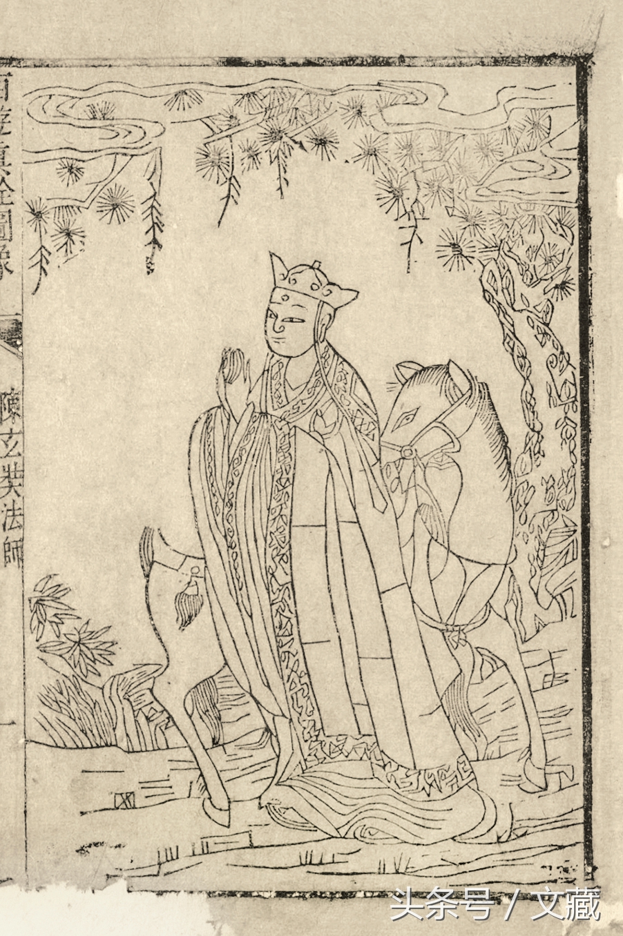 有用而鄙贱,无用而高贵——猴与猿的迥异待遇