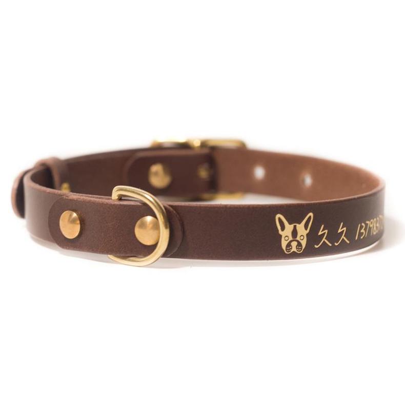 项圈圈圈,汪星人项圈