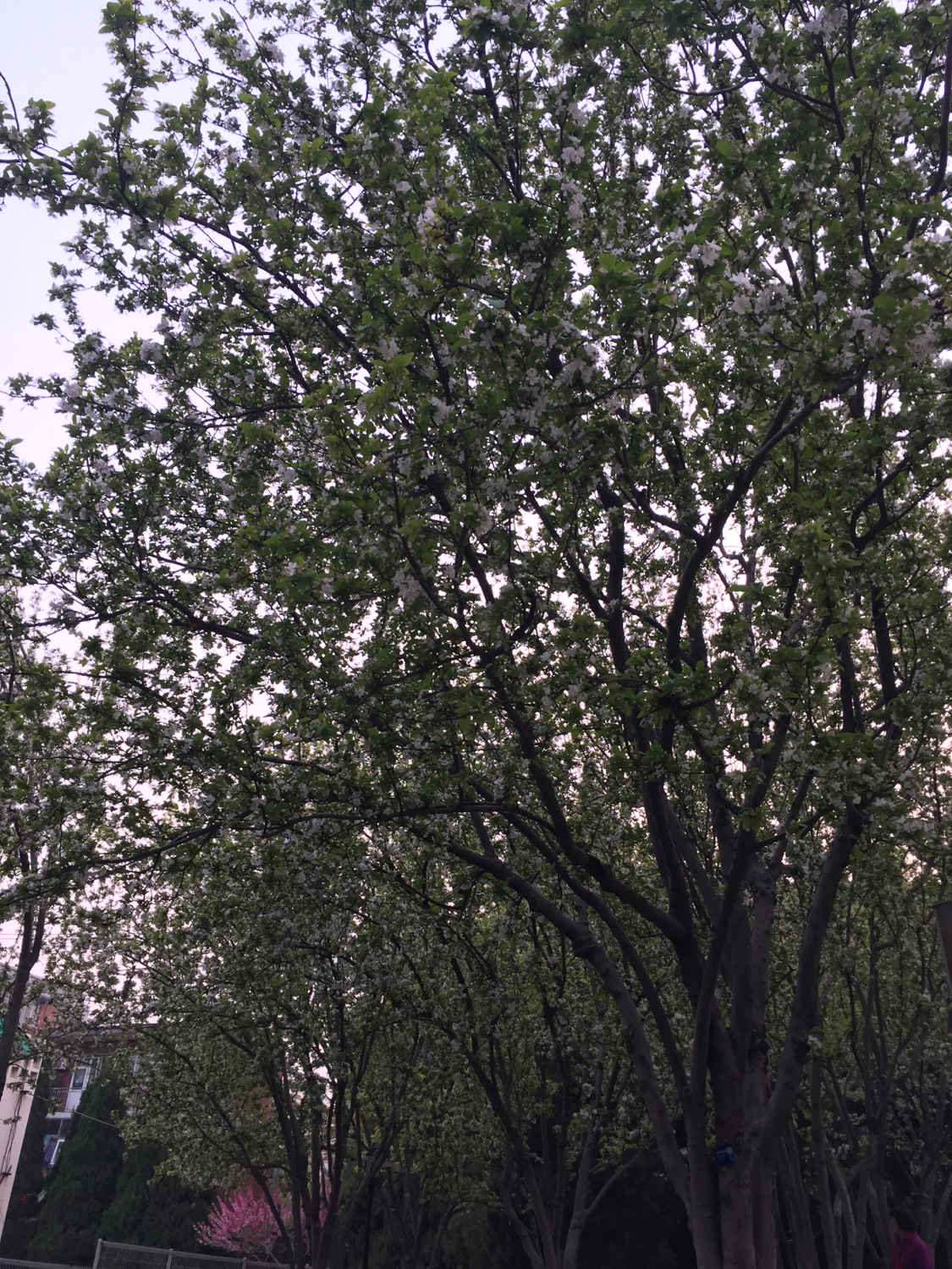 北京人定湖公园攻略,北京人定湖公园简介