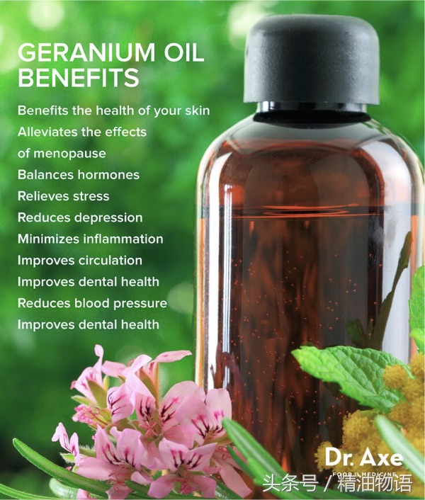 天竺葵精油涂在哪里止痛,面部专用精油天竺葵精油