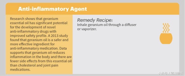 天竺葵精油涂在哪里止痛,面部专用精油天竺葵精油