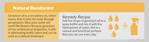 天竺葵精油涂在哪里止痛,面部专用精油天竺葵精油