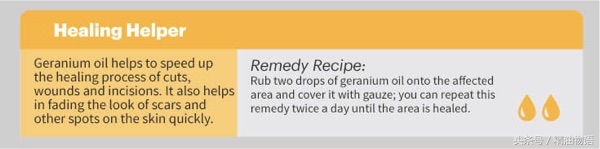 天竺葵精油涂在哪里止痛,面部专用精油天竺葵精油