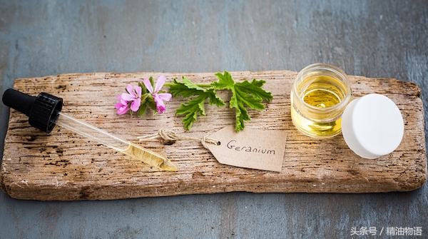 天竺葵精油涂在哪里止痛,面部专用精油天竺葵精油