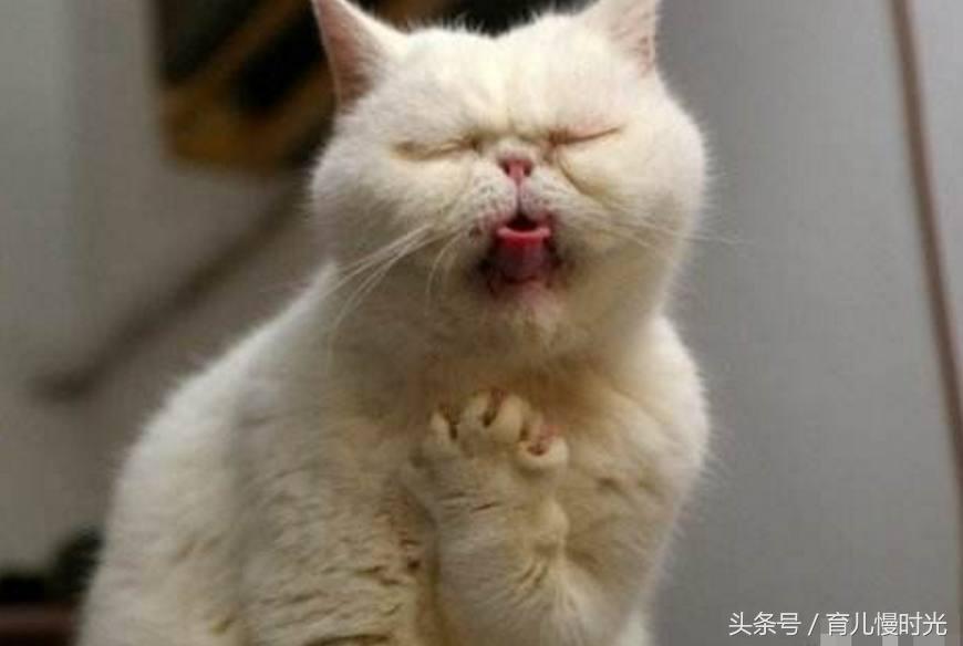 看孩子太磨人！浑身各处疼痛的缓解办法，宝妈和奶奶们快收藏