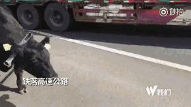 【三分钟法治新闻全知道】他们可能是离中南海最近的一群人，有点话要对你说