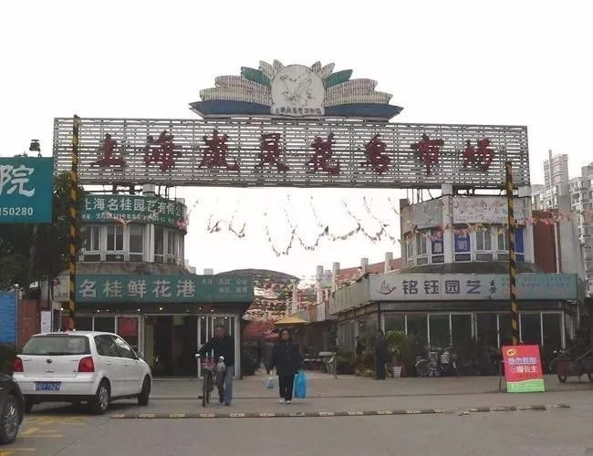 捡一些奇石去哪里卖,奇石哪里可以卖出去