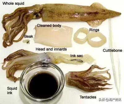 硬核科普全部,硬核科普大全视频