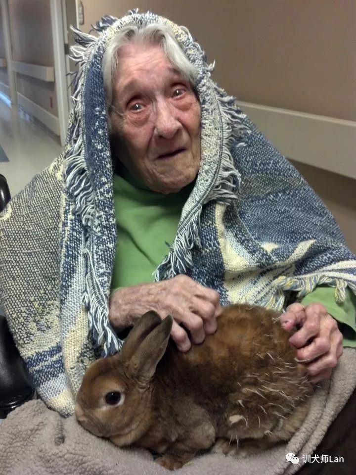 什么是治疗犬?我的狗狗可以做治疗犬去帮助有需要的人吗?