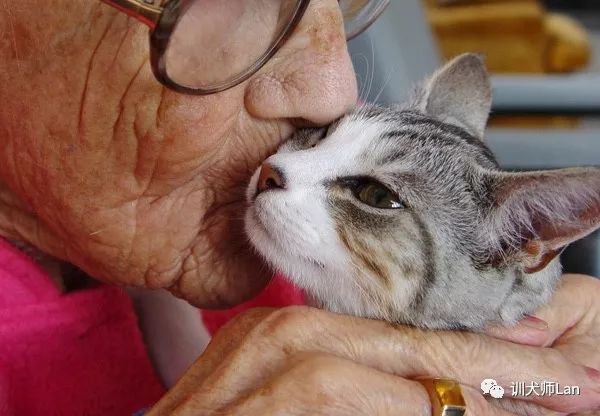 什么是治疗犬?我的狗狗可以做治疗犬去帮助有需要的人吗?