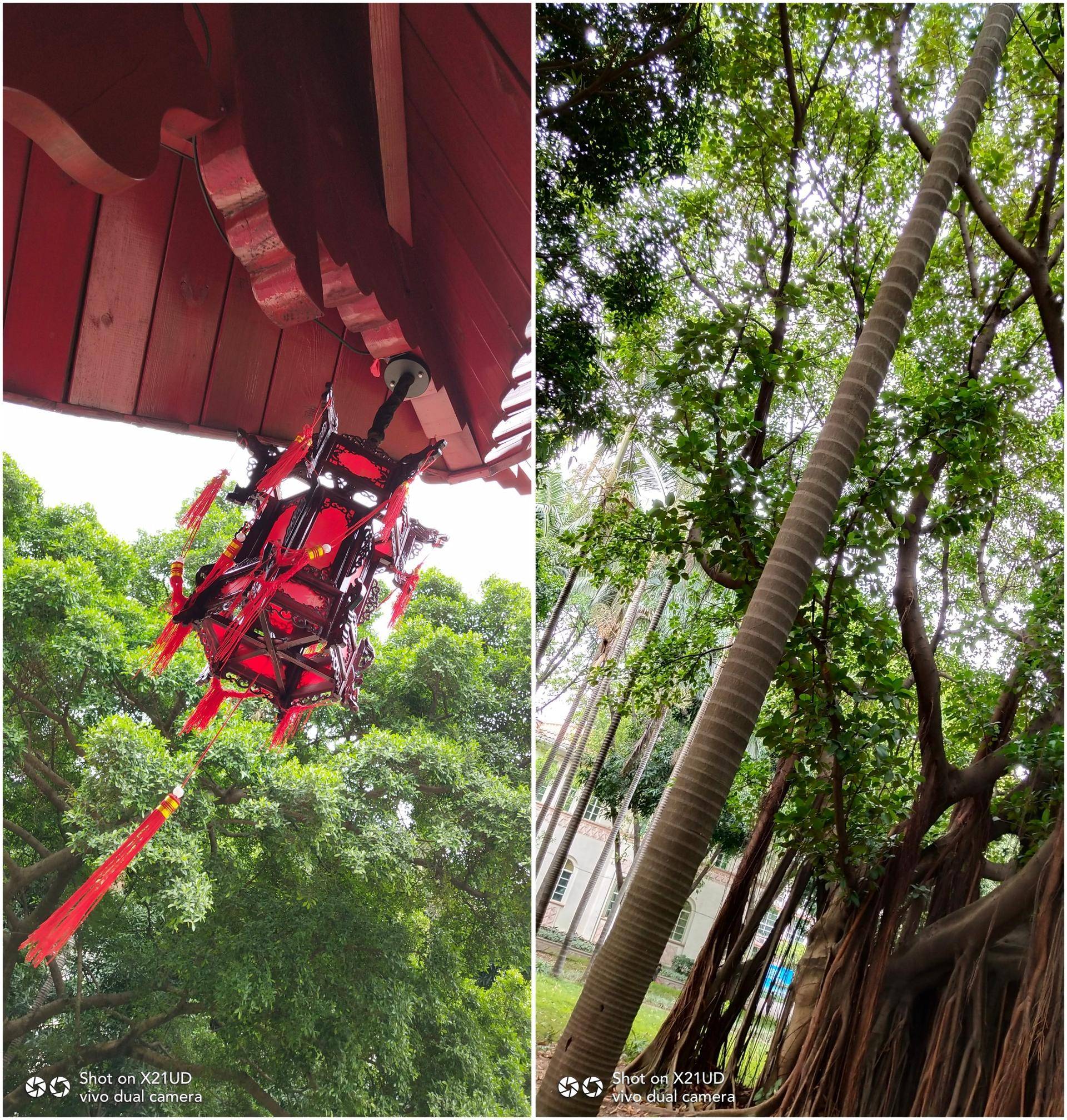 vivox21屏幕指纹版是全网通吗,指纹黑科技vivox21体验测评