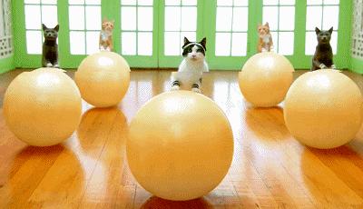 紧致肌肉普拉提,普拉提修复什么