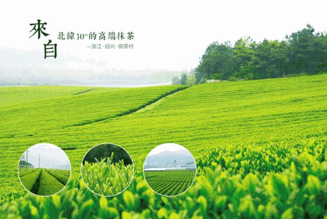 拼实力的抹茶专门店，用1000年前的“帝皇同款”*用御**茶做原料！