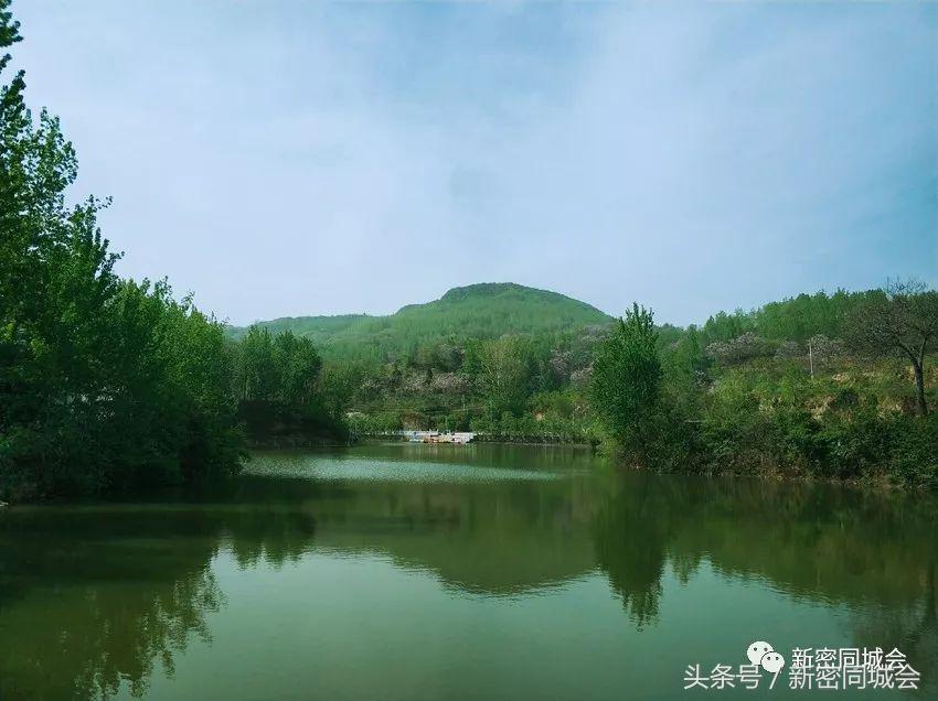 新密市九里山风景区摘槐花,新密超化九里山槐花林