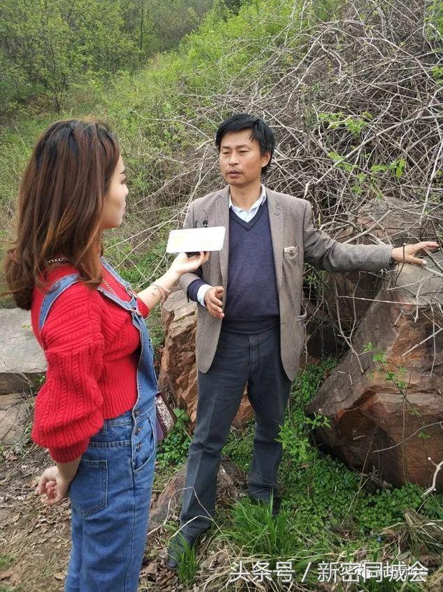 新密市九里山风景区摘槐花,新密超化九里山槐花林