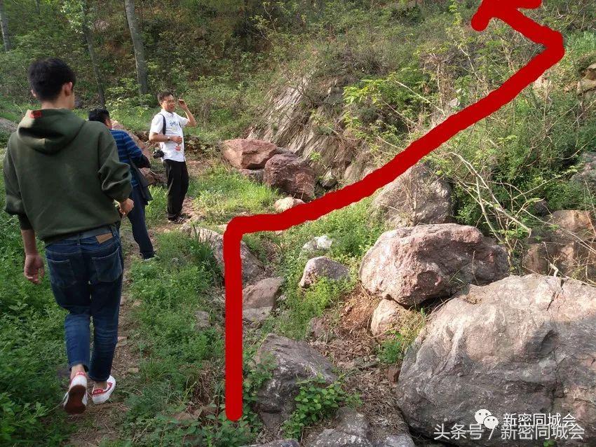 新密市九里山风景区摘槐花,新密超化九里山槐花林