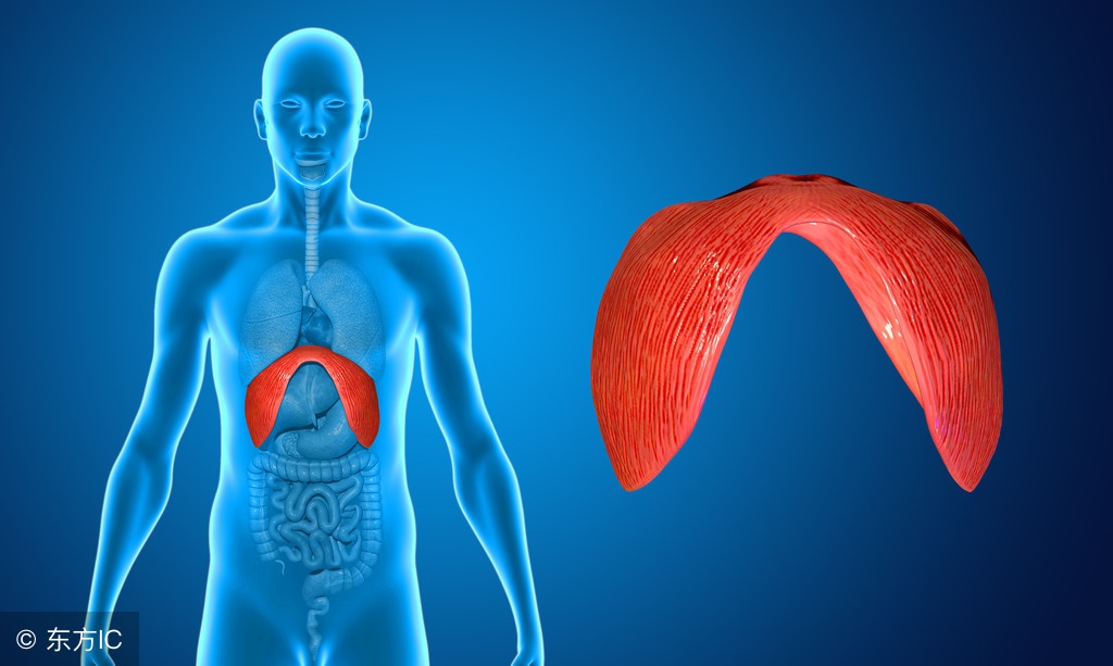 鸡尾酒疗法可以延长患者生命吗,鸡尾酒疗法挽救了多少人