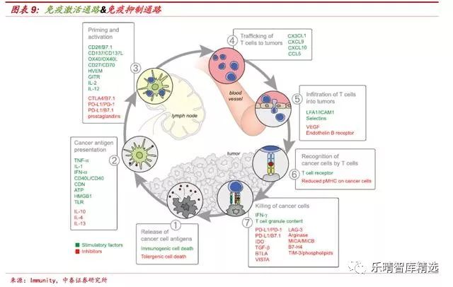 免疫治疗是癌症的克星吗,免疫治疗癌症最新突破药品