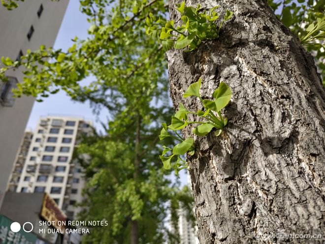 三年前的红米note5现在怎么样,骁龙660红米note8