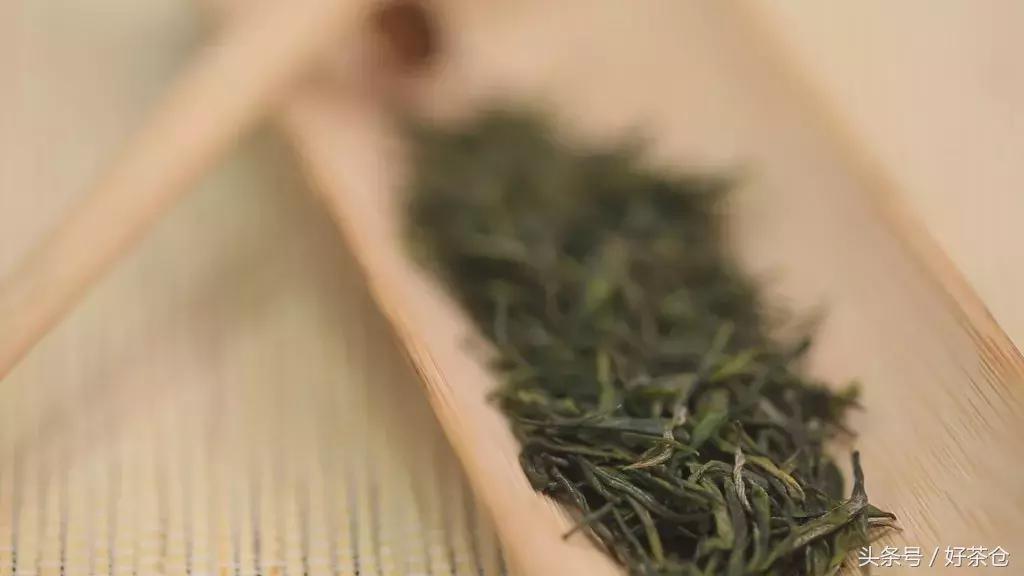 今年热度最高的绿茶恩施玉露,茶知识恩施玉露