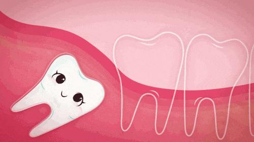 拔智齿疼还是拔大牙疼,拔智齿拔完疼吗