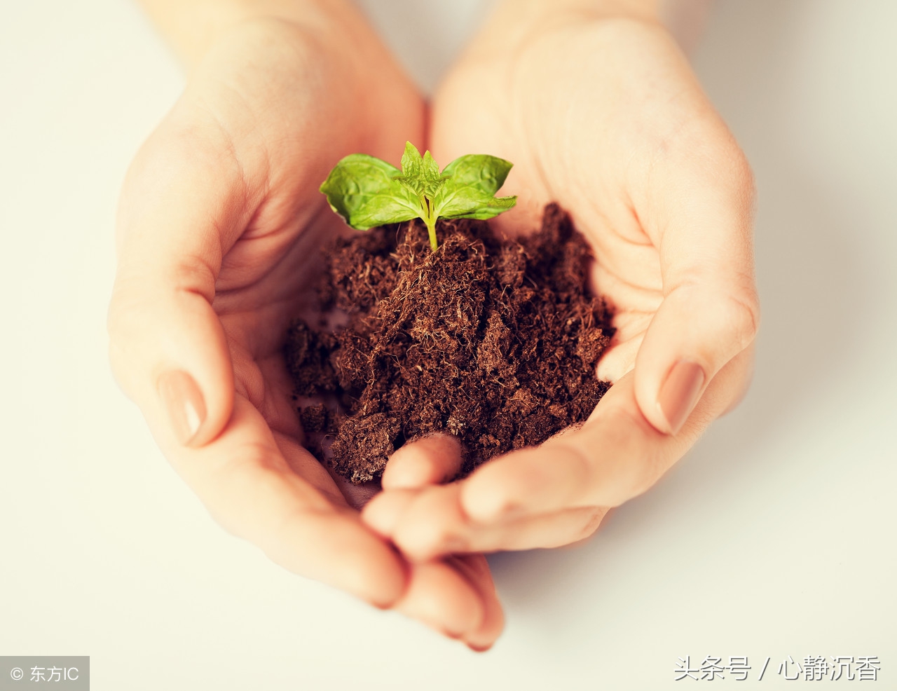 岑志祥,为季节而歌岑志祥