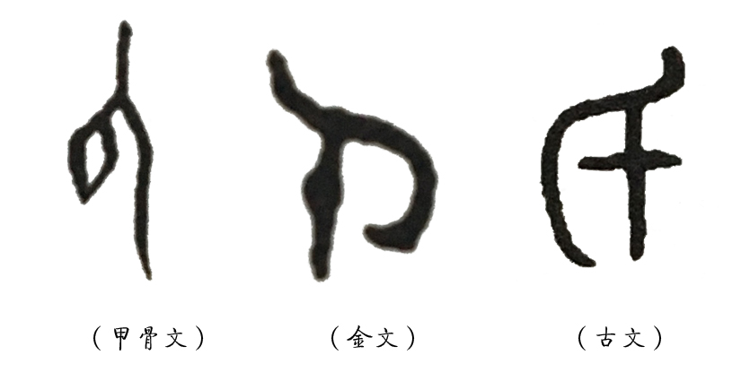 说文解字总结了造字的六种方法,说文解字第四章心得体会