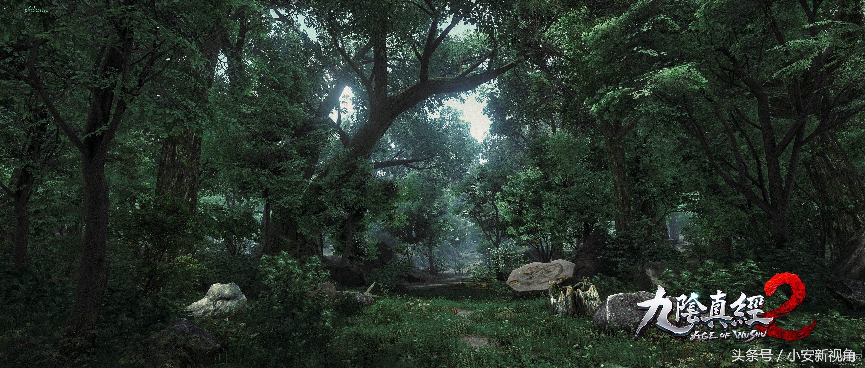 九阴真经2真相,九阴真经2爆料视频