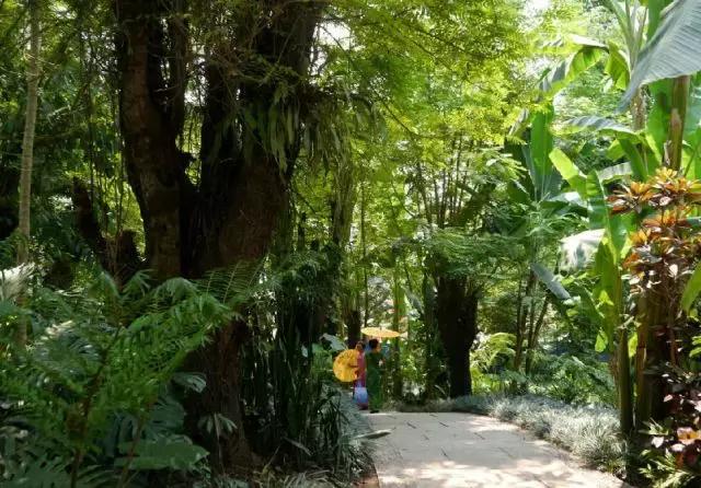 西双版纳翡翠绿洲价格,西双版纳绿洲乐土