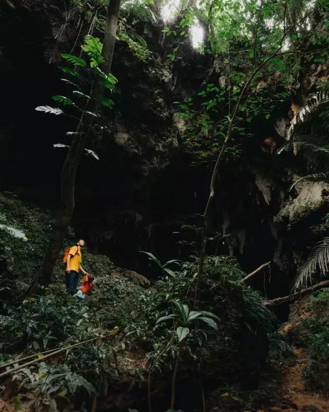 西双版纳翡翠绿洲价格,西双版纳绿洲乐土