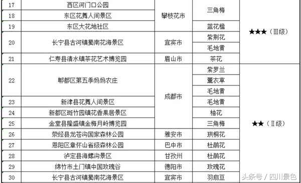 芍药成海，蔷薇满园！成都最快0.5h就到！赏四月的花不走远！