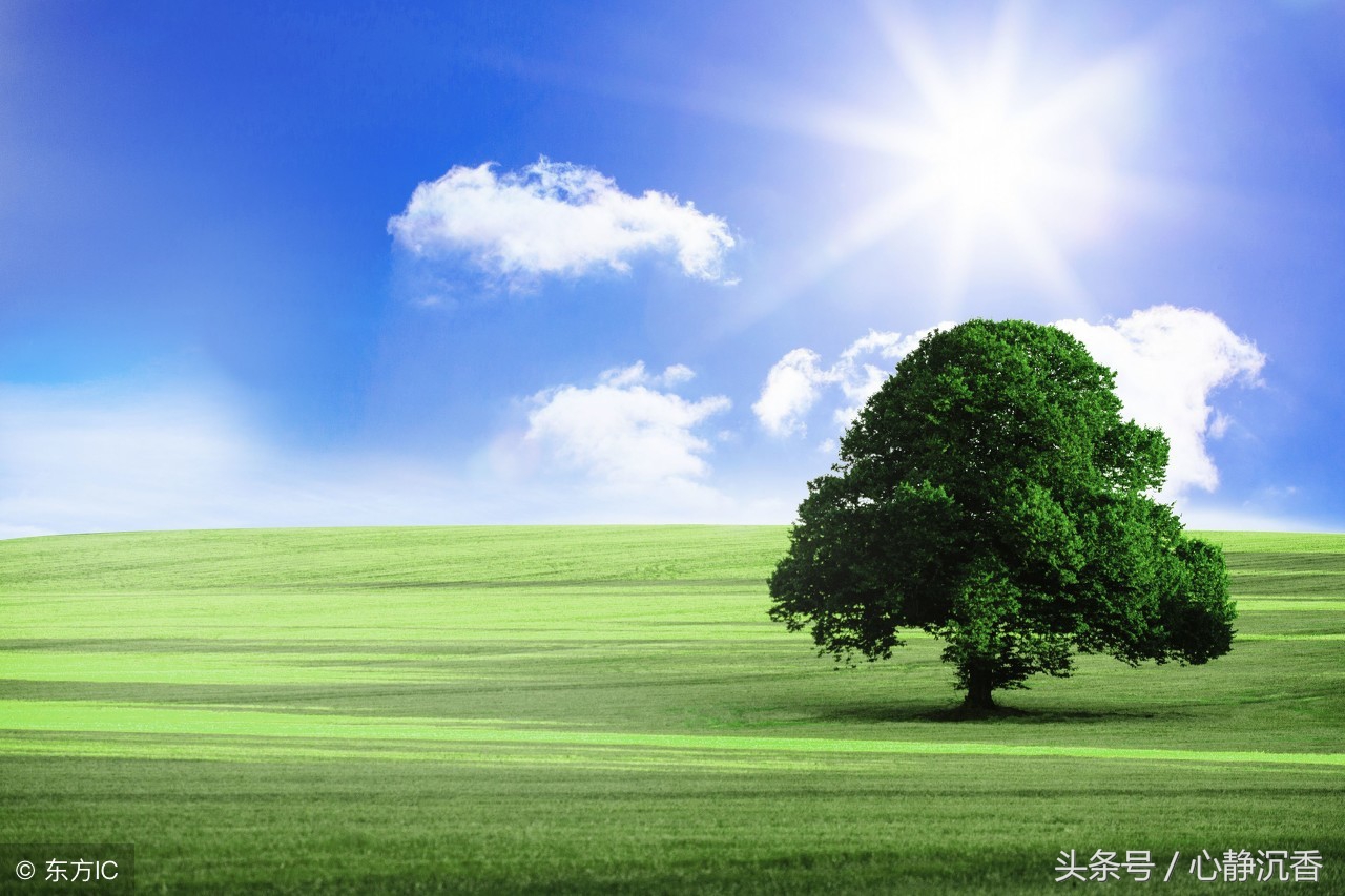 岑志祥,为季节而歌岑志祥