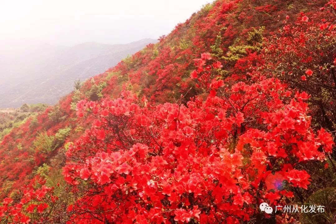 收拾装备继续出发,广州值得爬的高山