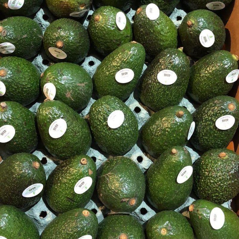 行内人教你5个方法挑选牛油果，还有减肥食谱大公开